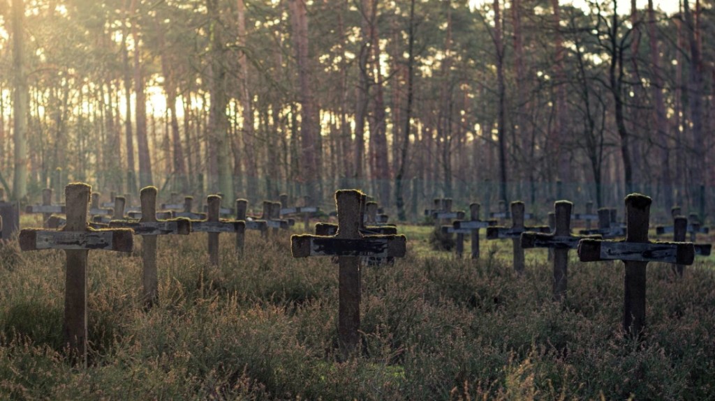 Here’s How You’ll Die When the SHTF (When it hits the fan…I mean REALLY hits the fan in a permanent kind of way, the most likely outcome is&nbsp;death.)