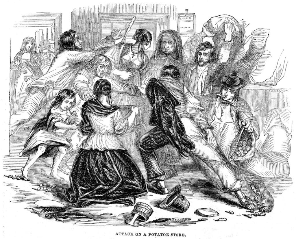 Economic Collapse Can Lead to a Breakdown of Society And Mass Food Shortages- How to Survive A&nbsp;Famine