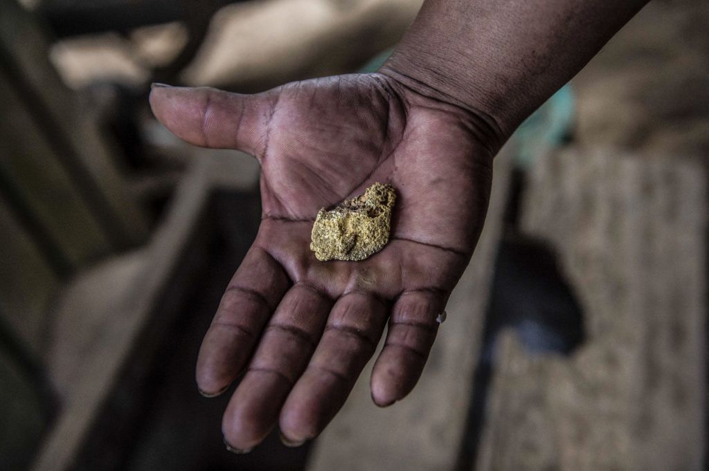 REAL INTERVIEW! The Global Elite’s End Goal is to Force-feed Humanity Food Sources Like Bugs, Feces, and — as Some are Now Alleging — Human&nbsp;Remains.